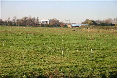 3.3.8 Westpoort Ruimtelijke analyse Agrarisch gebied, ingeklemd tussen N242, de Westtangent en Beveland van in totaal 14 hectare, waarvan de gemeente er 12 hectare in haar bezit heeft.
