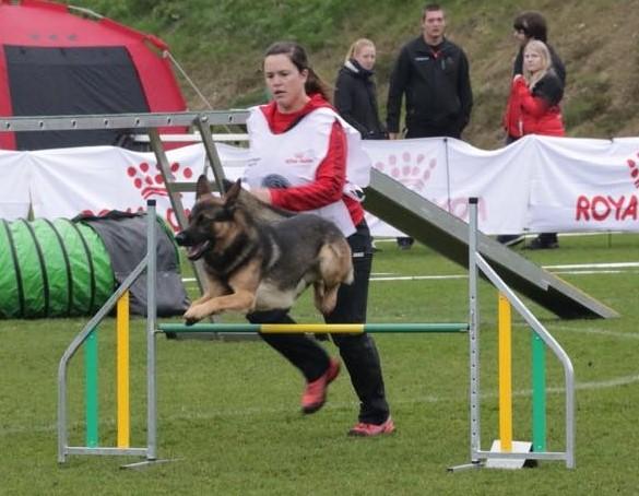 ter plaatse ook aandacht hadden voor het Agility.