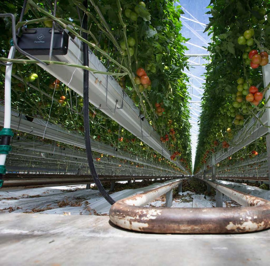 park Kreekraksluis nepark Ouddorp 63 Tomaten telen met aardwarmte Minder afhankelijk van de grillige gasmarkt en een lagere energierekening.