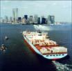 Logistiek Kwaliteitsgestuurde logistiek Greenports Efficiency Responsiveness Luchtvracht wordt zeevracht Daarbij werkt Wageningen op 3 niveau s Door nieuwe verpakkingen en transportprotocollen