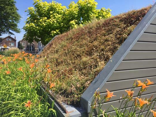 buffercapaciteit tot 40 mm  Intensieve groene daken en retentiedaken vereisen wel een hoog