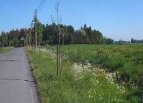 We zijn verontwaardigd over deze handelingen. We twijfelen aan de goede bedoelingen. We verwonderen ons over de natuur. We zijn blij met het resultaat.