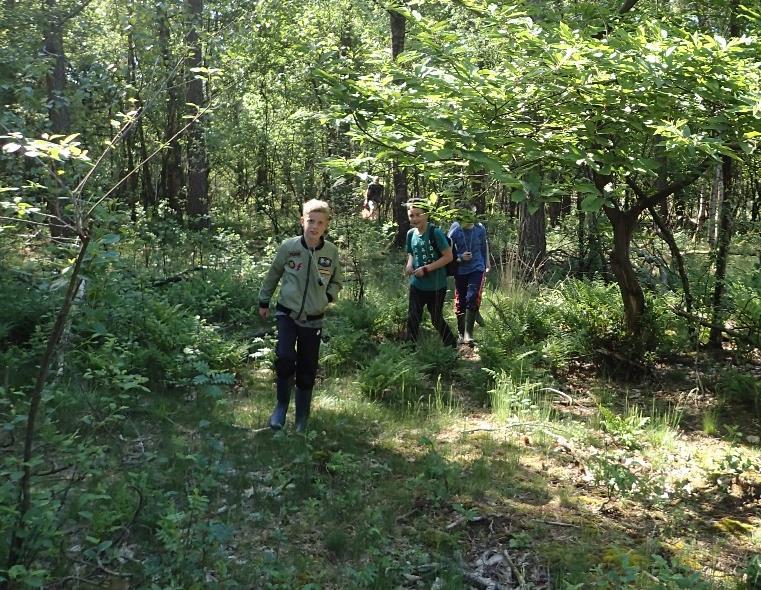 Inleiding Om kinderen bij natuurontwikkeling in De Maashorst te betrekken heeft ARK Natuurontwikkeling in 2015 in samenwerking met Natuurcentrum De Maashorst een veldwerkproject voor de groepen 6, 7