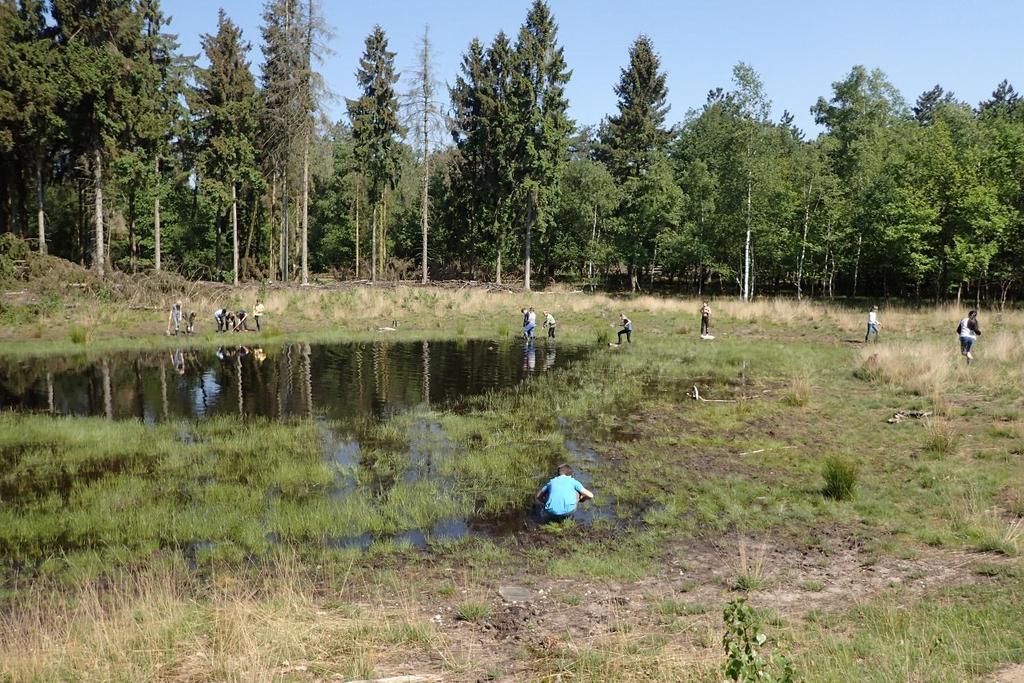 Feestelijke overdracht van het veldlesproject Op 23 oktober 2018 heeft ARK het veldlesproject Op speurtocht in de Maashorst officieel overgedragen aan Natuurcentrum de Maashorst.