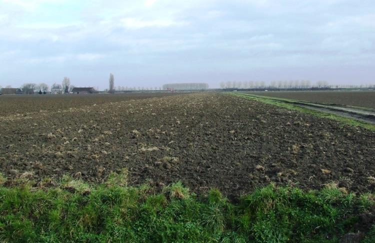 Collectief weide- en akkervogelbeheer Noord-Brabant Nieuwsbrief, nr.