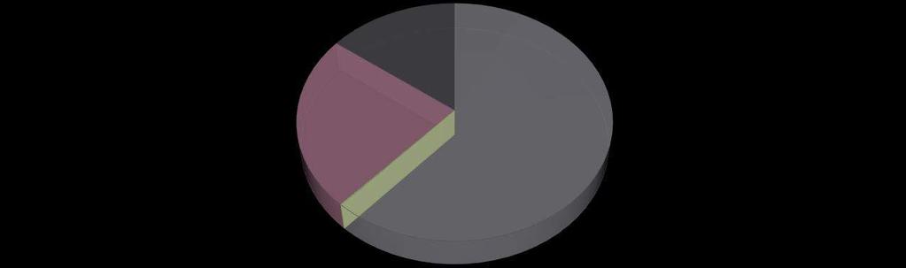 19) 14,70% N = 2122 Brussel NL 17,40% Brussel FR 9,70% Geïnterneerde in detentie