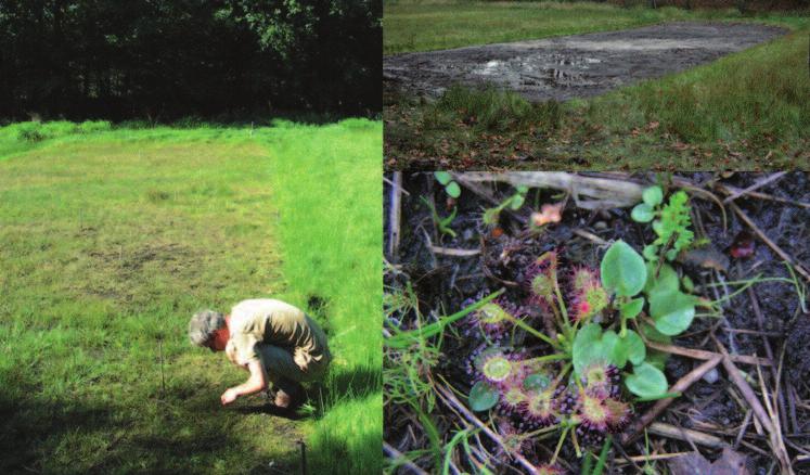 20 jaar GRONDEN ONT Foto 4. Plagproef bij de Hierdense beek (Staverden). Rechtsboven: na ontgronden in oktober 2006. Links: 2 jaar na ontgronden. De vegetatie is nog steeds schraal.