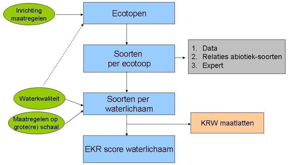 2 Methodiek De ecologische kennisregels worden gebruikt om inschattingen te maken van de effectiviteit van maatregelen die variëren in type, grootte en aantallen.