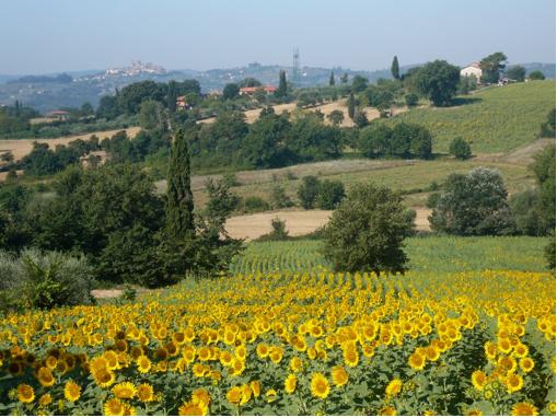 Open Dag voorproeverij 09.02.14 14.30 17.00 uur Wil je de bijzondere vakantieweek Zin in Toscane voorproeven en kennismaken met La Scuola, met de mensen en ideeën daarachter?