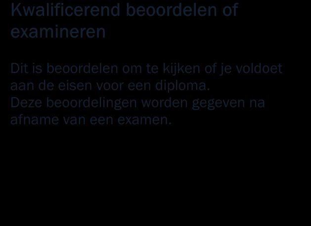 Door regelmatig te toetsen krijg jij (en de docenten) zicht op de vorderingen in je leerproces. De resultaten van je voortgang worden met je doorgenomen.