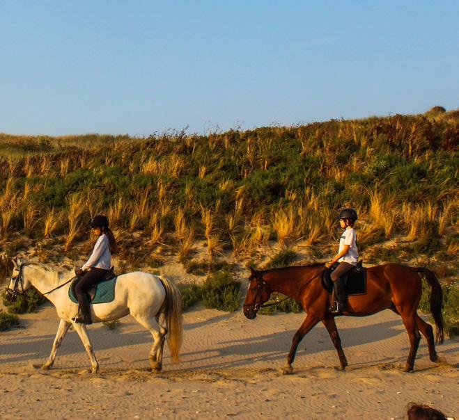 Paardrijden NL Manege De Zwaanhoek is de ideale plek om te leren paardrijden. Samen met je trouwe viervoeter trek je er een hele week op uit.