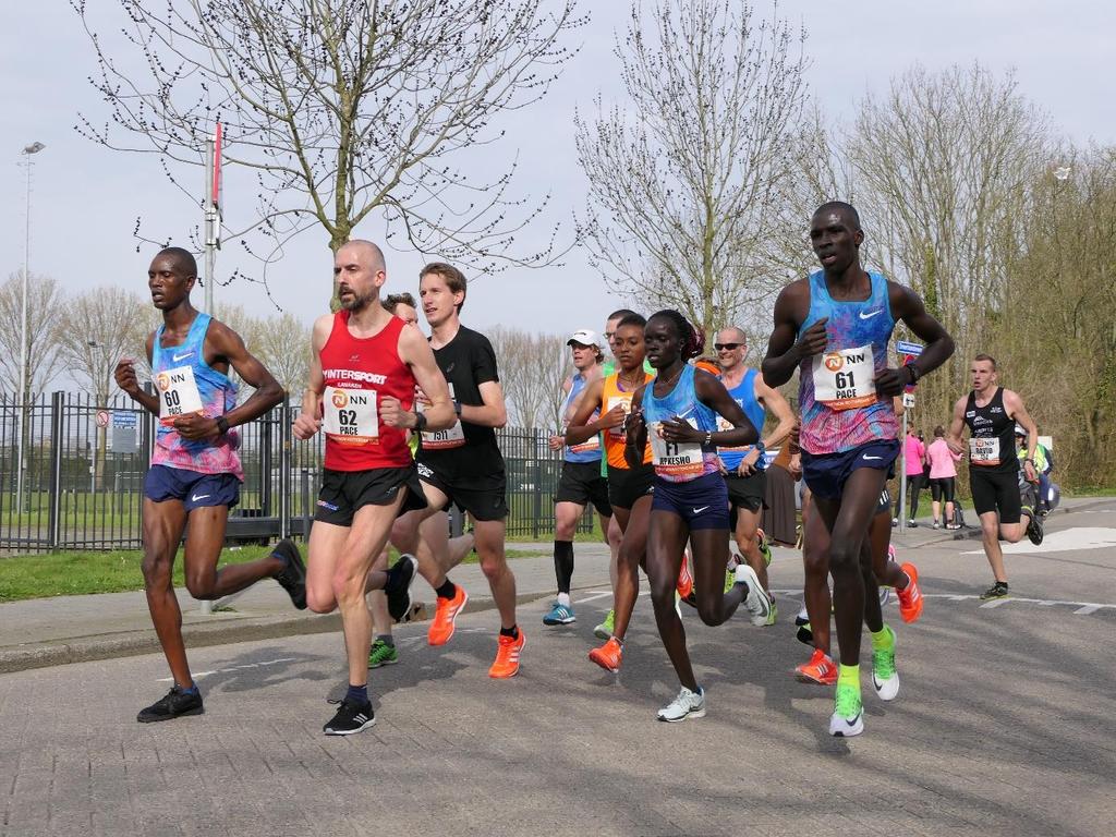 Adidas versus Nike De Adidas en Nike zijn beide lichte marathon schoenen. Ze wegen uit de doos op de keukenweegschaal respectievelijk 265 gram per schoen (maat US 13) en 239 gram (maat US 12,5).