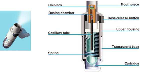 Krachtig, snel en diep inademen poeder vanuit device tot in de longen trekken 5. Inhalator uit mond nemen longdepositie 6. Mond sluiten en adem 10 sec ophouden 7.