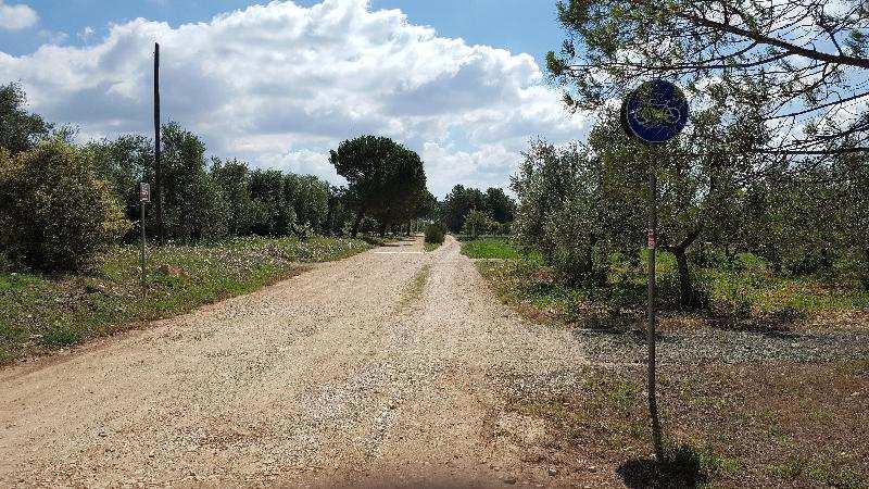 Fietspaden in het buitenland Tijdens een lange looptocht in Italië kwam ik met name in Puglia fietspaden tegen.