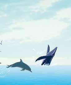 God maakt de dieren in de zee en in de lucht Genesis 1:20-23 Op de vijfde dag zei God: Laat de oceaan gevuld zijn met zeedieren! Op dat moment begon het water te krioelen met leven.