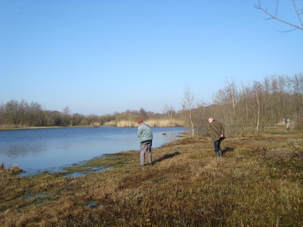 10 Slenk op de hei Enkele RL-veenmossen op de rand van de slenk, als Sphagnum compactum, Kussentjesveenmos (Kw), en Sphagnum tenellum, Zacht veenmos (Kw).