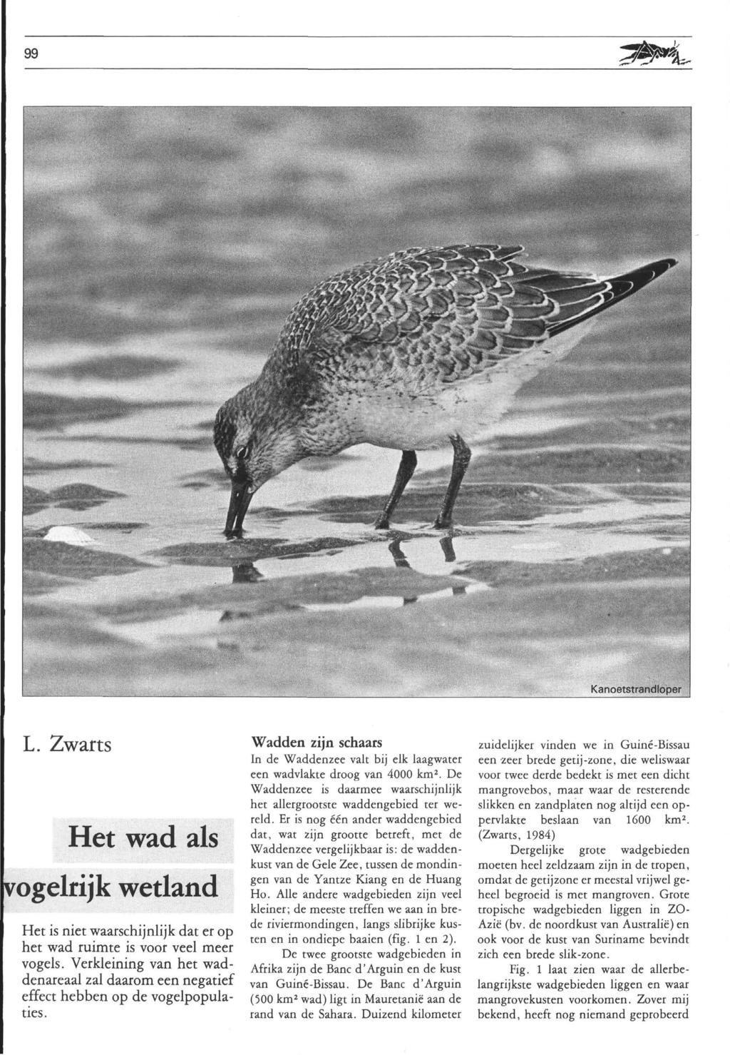 99 'i^ frj'- - '1 1 -r* "l^«^* IA :. >., ' '«imi. 1, >,. L. Zwarts Het wad als ogelrijk wetland Het is niet waarschijnlijk dat er op het wad ruimte is voor veel meer vogels.