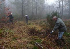 Hierboven rechts is men een dreef aan het aanplanten in de Maagdestraat te Wingene.