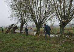 Bij Natuurpunt Damme (hierboven rechts) knotte men oude