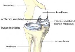 Voorste kruisband reconstructie Inleiding Binnenkort wordt u geopereerd aan de knie. Hierbij zal de afgescheurde/beschadigde voorste kruisband worden vervangen.