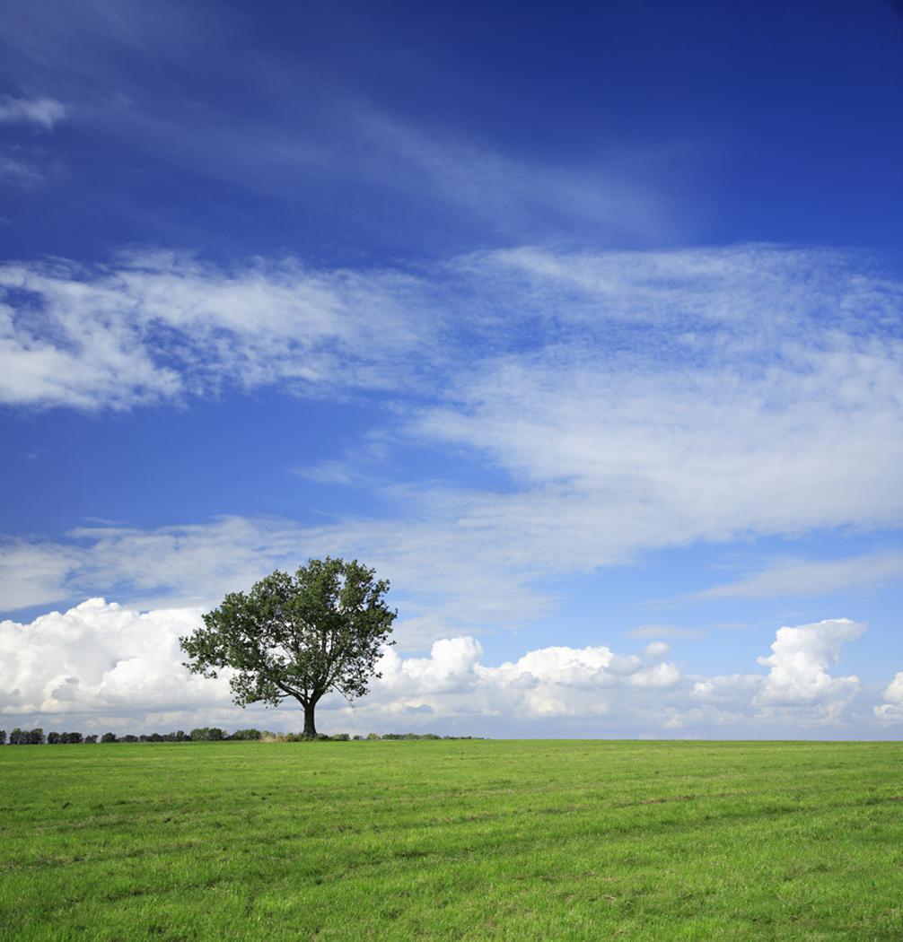 Er staat een stip op de horizon Energieneutraal