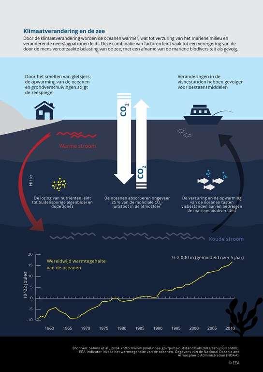 Impact van T stijging op de zeespiegel Verhoging zeespiegel Laatste 50jaar Noordzee +1,7 C
