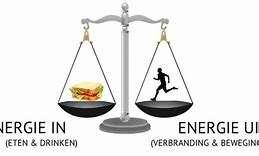 Impact T stijging op mariene voedselketen Lesje Biochemie Impact van T stijging, ph shift op een organisme Suboptimale condities Impact op