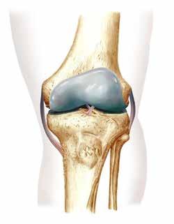 Inhoudsopgave Een nieuwe knie blz: 5 Uw persoons- en medische gegevens blz.