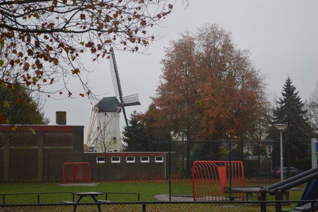 richting. Mochten de bouwplannen doorgang vinden, dan kan er gecompenseerd worden door groen te verwijderen.