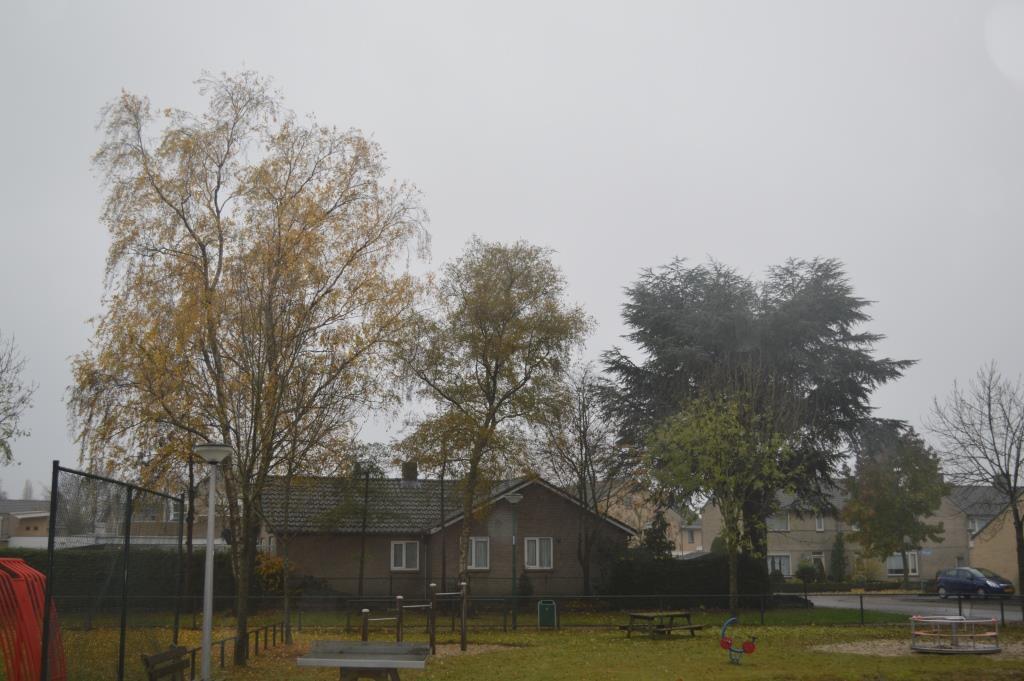 Het open veld geeft ruimte aan de wind om de molen te bereiken vanuit noordwestelijke richting.