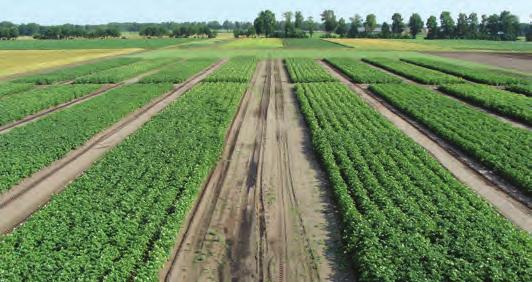 Daarnaast worden verschillende biotische en abiotische karakteristieken van de grond bepaald, zoals de ph, nutriënten, organische stof, bacterie- en schimmelbiomassa en aaltjegemeenschappen.