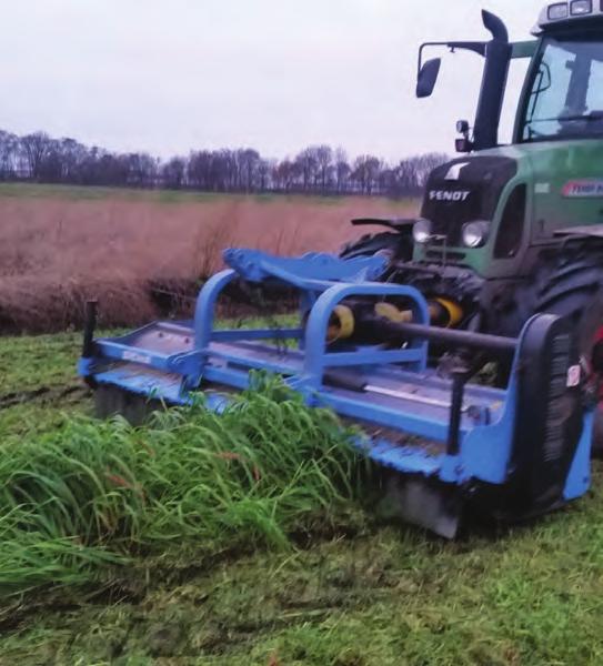 wordt daarentegen maar deels gebruikt. Groenbemesters worden niet bemest en deze ruimte zou daardoor nog in de hoofdgewassen gebruikt kunnen worden.