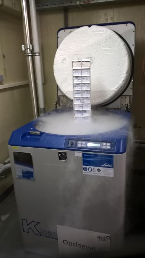 Opslagen vloeibare stikstof (Cryobank) Leverancier CryoSolutions Pivot Park heeft één vat