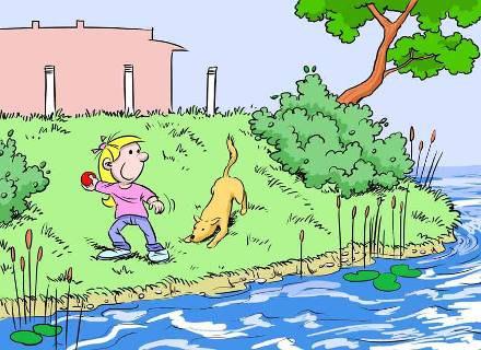 Bij het water Uit de beschreven artikelen is op te maken dat de eigenaar of houder van de hond verantwoordelijk is.