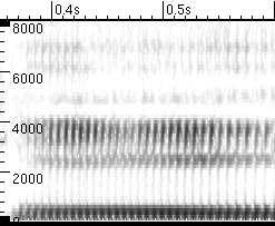 Dit past men bijvoorbeeld in de spraakherkenning toe, waar verschillende klinkers duidelijk verschillende patronen van intensiteiten voor het frequentie spectrum