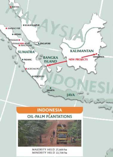 MP EVANS (485 GBp) MP Evans is een onderneming die hoofdzakelijk actief is in palmolie in Indonesië, maar daarnaast ook actief is in de veeteelt in Australië en in vastgoedontwikkeling in Maleisië.