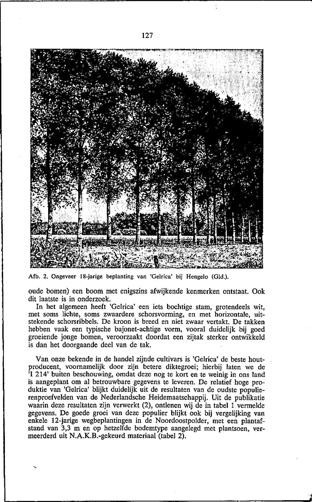 127 Afb. 2. Ongeveer IS-jarige beplanting van 'Oeirica' bij Hengelo (Gld.). oude bomen) een boom met enigszins afwijkende kenmerken ontstaat. Ook dit laatste is in onderzoek.
