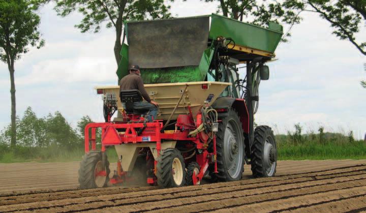 OpTImAlIsATIE zaaitechniek BIj WITlOOF Ondanks een hoge zaaidichtheid is de plantdichtheid bij witloof vaak lager dan verwacht.