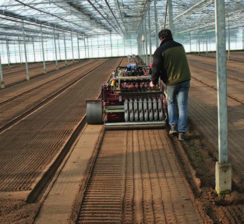 Zowel de potgrond in de zaaivoor als de laag potgrond op het zaaibed verhinderen de kieming niet, maar hebben zonder korstvorming ook geen bijkomende positieve effecten op de kieming.