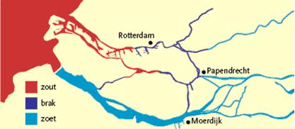 4.6 Wat gebeurt er met de zoet-zoutovergangen in de open verbindingen? In West Nederland stromen de Rijn en Maas vrij uit in zee.