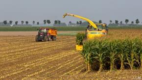 Waterwijzer Landbouw: management en economische rekenregels Voor grasland: eenvoudig toepasbare tool