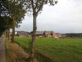 Aanplant na realisatie serrestal: D: Aanplant bomen achterzijde serrestal en langs mestsilo De bomen langs de mestsilo kunnen aangeplant worden na realisatie mestsilo en de andere bomen pas nadat de