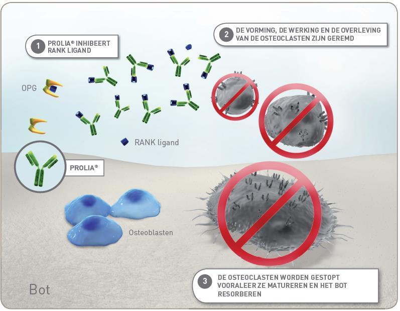 Prolia bindt zich aan
