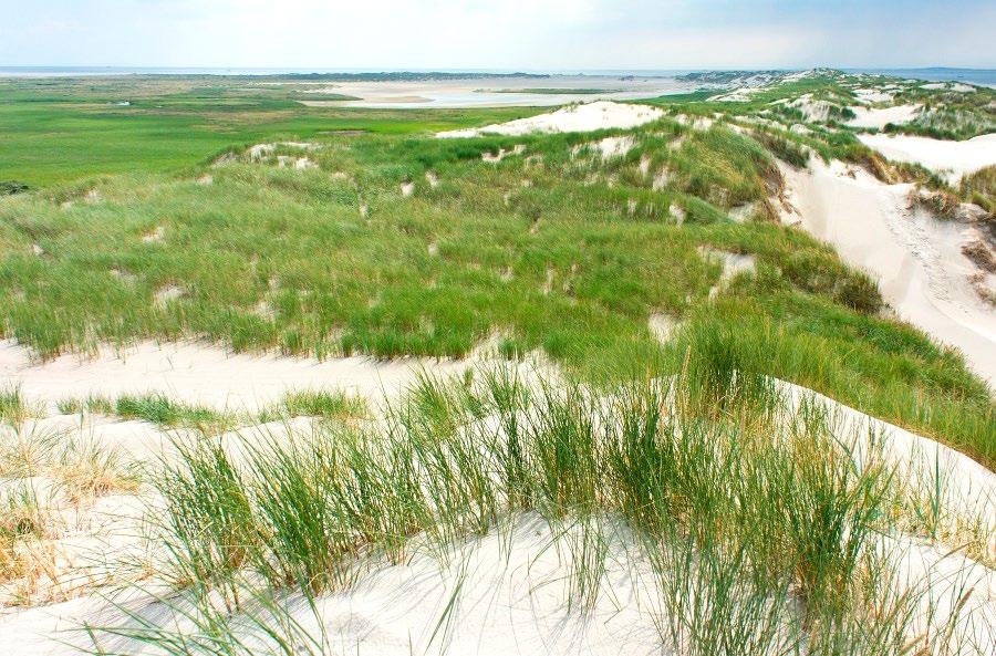 PAKKET 2. NOORDSVAARDER 25.000 De Noordsvaarder is de weidse zandvlakte aan de westpunt van Terschelling, tussen het dorp West en het Vlie.