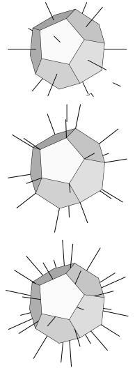 De centrale rol van de bol Rozetpatronen zijn 2-dimensionaal.