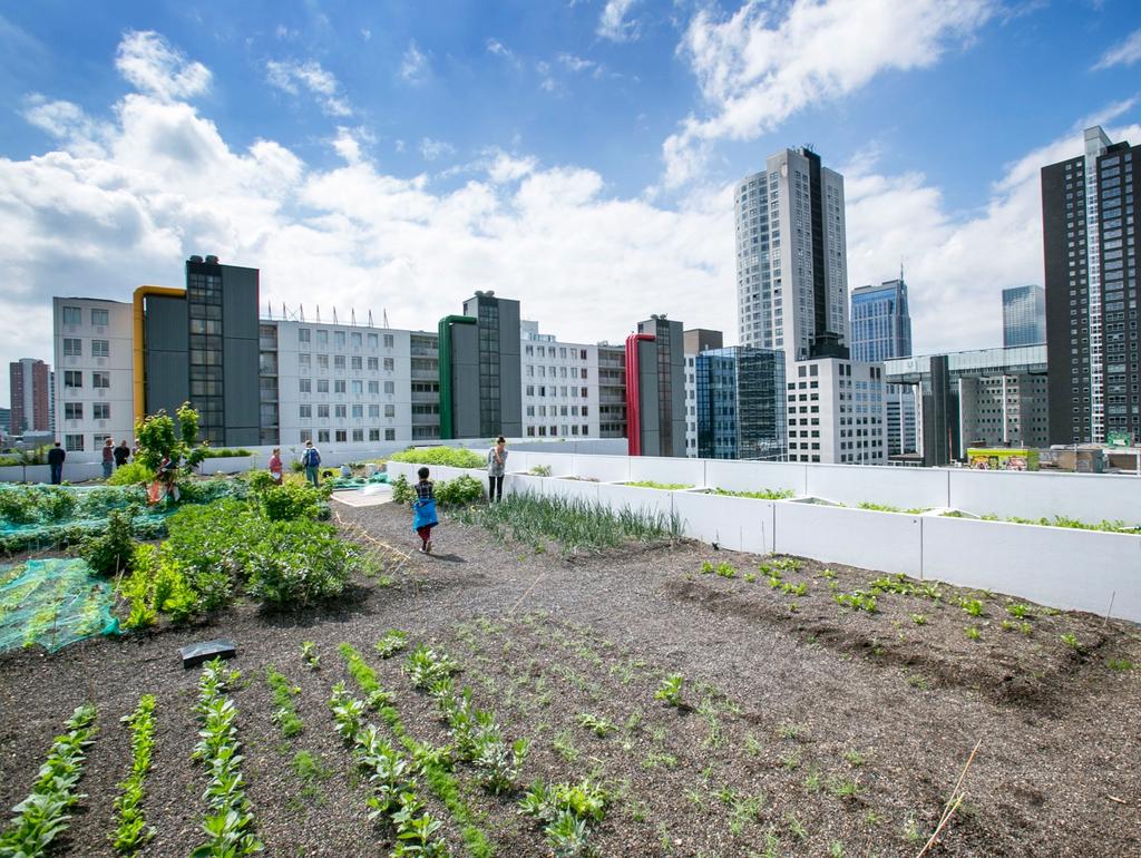 Green Deal Groene Daken 2014 2019 + Egbert Roozen (Branche-organisatie VHG, bestuur) Meer met groene daken Winst stapelen op het dak Gemeenten Almere, Amsterdam, Eindhoven, Enschede, Rotterdam,