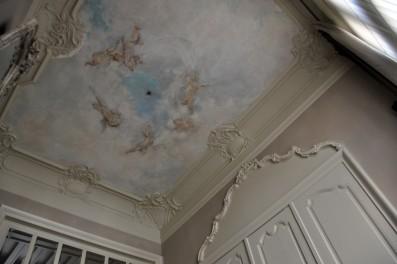 plafond in het salon (foto 