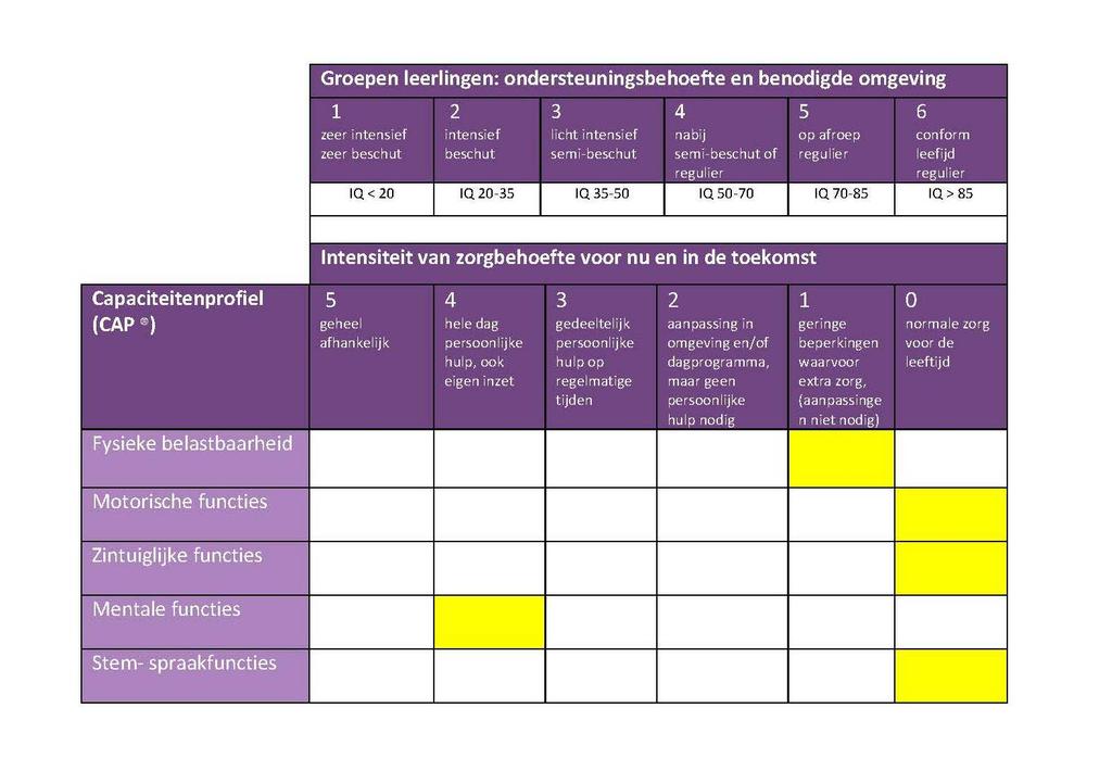 Functionele prognose