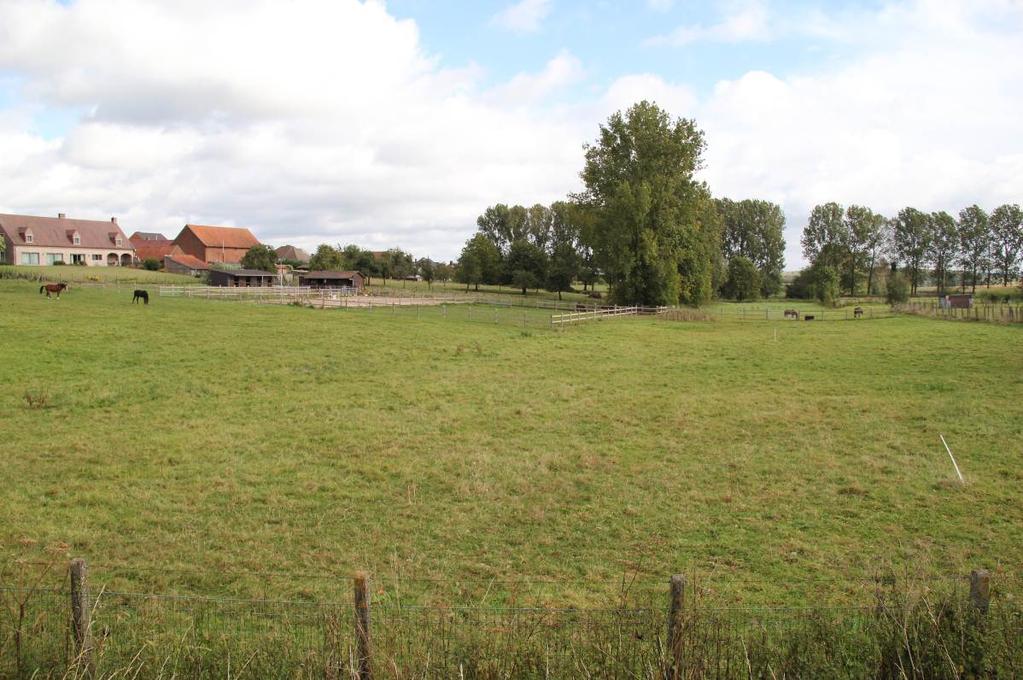 In het noorden loopt de Kwadebeekstraat door het gebied (Figuur 2 en 3).