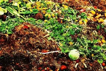 Groente- Fruit- en Tuinafval (GFT) Onder groente-, fruit- en tuinafval (GFT-afval) wordt verstaan al het ingezamelde GFT-afval van huishoudens en daaraan gelijk te stellen slootafval mest